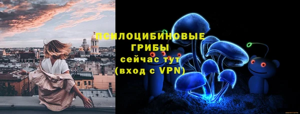 ГАЛЛЮЦИНОГЕННЫЕ ГРИБЫ Алексин
