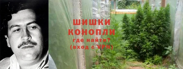 ГАЛЛЮЦИНОГЕННЫЕ ГРИБЫ Алексин