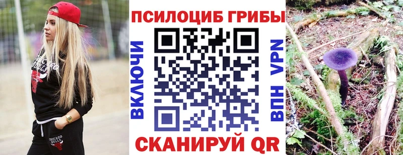 Галлюциногенные грибы Psilocybine cubensis  Людиново 