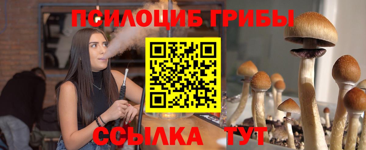 Псилоцибиновые грибы ЛСД  Вход с VPN  Людиново 